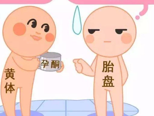 详细解读菏泽市做长方案试管婴儿费用，长方案和短方案成功率有差别吗？